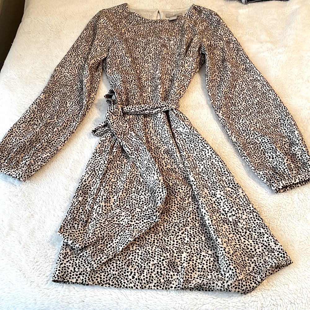 H&M A-Line Dress
